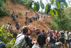 Tanah Longsor, Jalan Satu-satunya ke Desa Tanjung Harapan Terputus