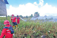 Lahan Gambut Terbakar Diduga Ada Kesengajaan