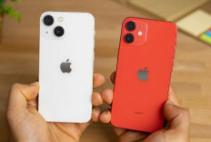 Nyesel Baru Tahu! iPhone 12 Ternyata Masih Layak Pakai Banget di 2025!