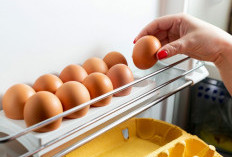 Jangan Cuci Telur Sebelum Menyimpan! Begini Cara Menyimpan Telur yang Benar