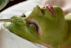 5 Masker Alami yang Ampuh Hilangkan Jerawat Secara Efektif