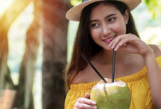 Jangan Kebanyakan! Ini 8 Efek Samping Minum Air Kelapa Berlebihan