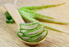 Cara Alami Meredakan Radang Usus dengan Herbal yang Tepat