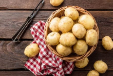 Tips Menyimpan Kentang agar Awet dan Tidak Cepat Busuk