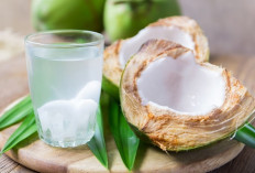 Khasiat Daging Kelapa Muda untuk Kesehatan, Bikin Jantung dan Otak Lebih Sehat!