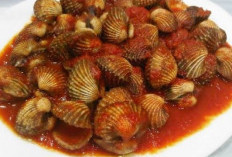 Resep Kerang Dara Pedas, Sajian Seafood Favorit yang Mudah Dibuat