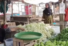 Harga Sayuran Masih Stabil