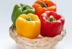 Paprika, Buah Bernutrisi Tinggi dengan Segudang Manfaat untuk Kesehatan
