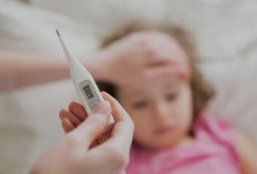 Faktor- Faktor Utama Anak Rentan Terkena Malaria
