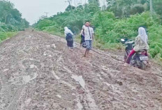 Bahas Jalan Rusak, Panggil Perusahaan