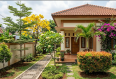 12 Pohon Hias Depan Rumah yang Bikin Halaman Terasa Adem dan Segar Sepanjang Hari