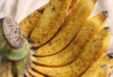 Manfaat Pisang untuk Kesehatan