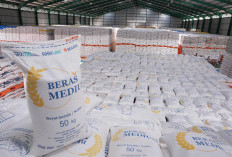 Bulog Serap Gabah Petani HIngga 800 RIbu Ton