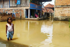 Banjir 1 Meter Rendam Payuputat, Aktivitas Warga Lumpuh