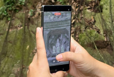 Kenapa Semua Orang Ngomongin Galaxy S25? Ini Jawabannya
