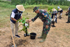 Rayakan HUT RI ke-79, Gelar Kegiatan Tanam Pohon