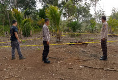 Warga Geger Temukan Sosok Mayat di Kebun