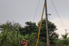 PLN Tanggap Cepat Atasi Listrik Padam di OKU saat Cuaca Ekstrem