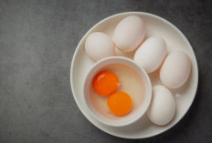 Telur Omega dan Telur Kampung: Apa Bedanya dan Mana yang Lebih Baik?