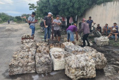 Getah Karet Tembus Rp 12.500 di OKU Timur, Petani Harap Harga Tak Turun