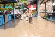 Sungai Komering Meluap, Mulai Banjiri Rumah Warga 