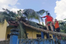 Diterjang Puting Beliung, Empat Sekolah Rusak dan Puluhan Lapak Roboh