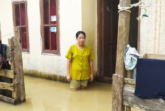 Banjir Setinggi Lutut Dewasa