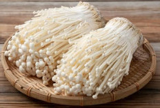 Jamur Enoki, Sumber Nutrisi dan Kaya Manfaat untuk Kesehatan