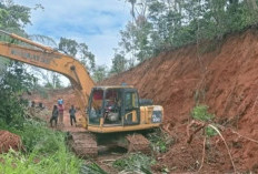 Lebarkan Jalan Liku Jago, Tingkatkan Keselamatan dan Akses Transportasi