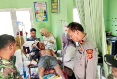 Petani Diserang Binatang Buas Viral Medsos