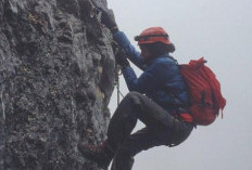 Nadine Turut Berduka Atas Meninggalnya Dua Pendaki di Puncak Carstensz Pyramid