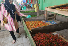 Harga Cabai Merah dan Rawit Tembus Rp 90.000 Per Kilogram