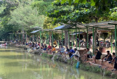 Embung Desa Disulap Jadi Wisata Pemancingan, Raup Rp25 Juta per Bulan