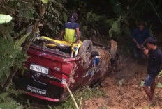 Ngeri! Toyota Calya Masuk Jurang di Jalur Ekstrem Tebing Jago