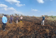 8 Hektare Lahan di Tulung Selapan OKI Terbakar