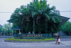 Damai Bethany