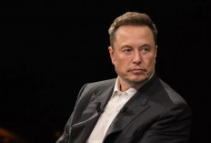  Elon Musk Tegaskan Tak Berminat Akuisisi TikTok