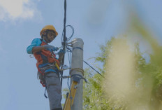 149 Keluarga di Noemuke NTT Kini Nikmati Listrik PLN 24 Jam, Membuka Harapan Baru bagi Pendidikan dan Ekonomi 