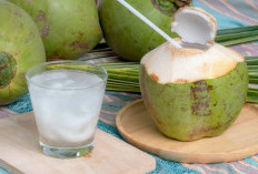 Bukan Cuma Segar, Air Kelapa Ampuh Jaga Kesehatan Jantung