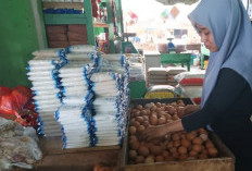 Harga Telur Pasca Idul Adha Naik Tembus Rp29 Ribu per Kilogram