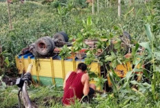 Jalan Licin dan Berlumpur, Mobil Pengangkut Batu Bata Terperosok