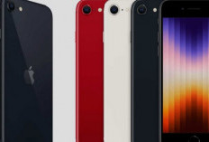 iPhone SE 3 di 2026: Murah Tapi Masih Ngebut, Layak Dibeli atau Tidak?