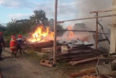 Panglong Kayu di Muaradua Ludes Terbakar, Kerugian Capai Rp300 Juta