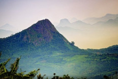 5 Gunung di Indonesia untuk Pendaki Pemula, Cocok untuk Isi Liburan Anda