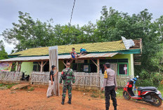 BPBD OKU Bersihkan Material Pohon Tumbang Akibat Puting Beliung