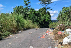 Jalan Menuju Desa Pendagan Jadi TPA Liar, Warga Resah dan Minta Solusi