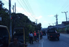 Wujudkan Listrik Andal, Gotong Royong Warga Bersama Petugas PLN ULP Muara Dua UP3 Lahat Bersihkan Jaringan Dis
