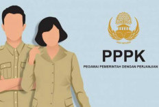 PPPK di Banyuasin Belum Terima Gaji, Ternyata ini Penyebabnya