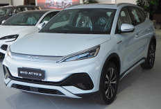 Harga Bekas BYD Atto 3 di Indonesia Nyaris Tak Turun, Kok Bisa?