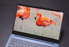Laptop Lokal Spek Tinggi Harga Terjangkau Axioo, Advan, dan Zyrex Makin Ngeri di 2026